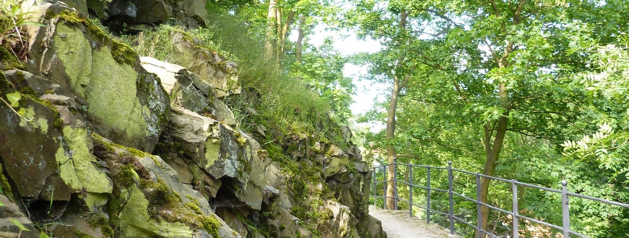 Zámecký park je ideálním místem k procházce. | © Státní zámek Mníšek pod Brdy
